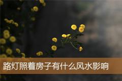 路灯照着房子有什么风水影响