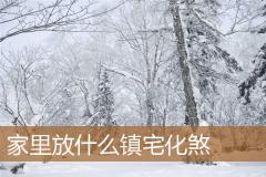 家里放什么镇宅化煞