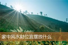 家中风水财位宜摆放什么