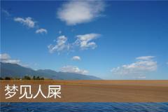梦见人屎
