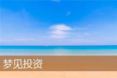 梦见投资