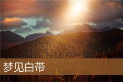 梦见白带