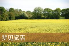 梦见旅店