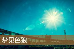 梦见色狼