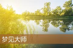 梦见大师