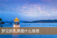 梦见抓乳房是什么意思