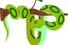 梦见踩到蛇是什么意思