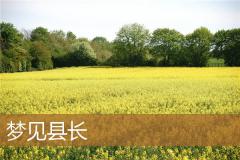 梦见县长