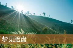 梦见胎盘