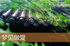 梦见做愛