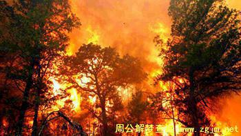 梦见山火