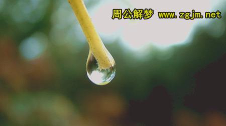 梦见滴水