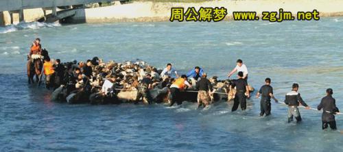 梦见被水冲走 被大水冲走