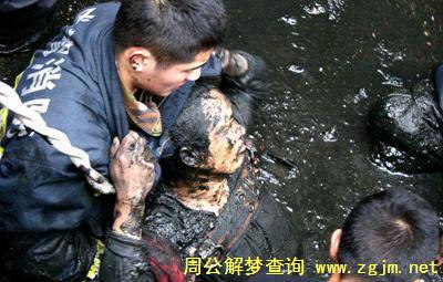 梦见掉进粪池或粪坑