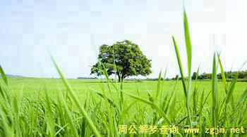 梦见草场 草地 草坪
