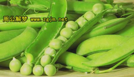 梦见豆角