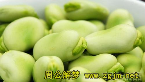 梦见蚕豆