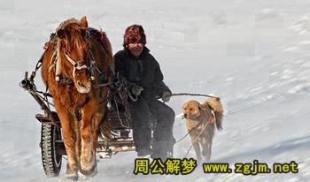 梦见回家
