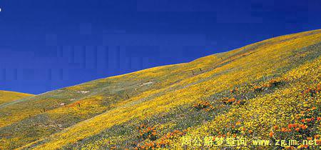 梦见山坡 爬山坡 下山坡