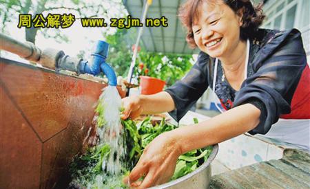 梦见洗菜
