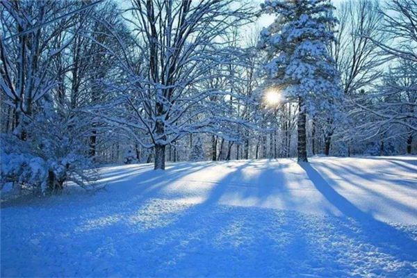 梦见下雪，亲人会离世吗？解析梦境中的雪与亲人离世的关联